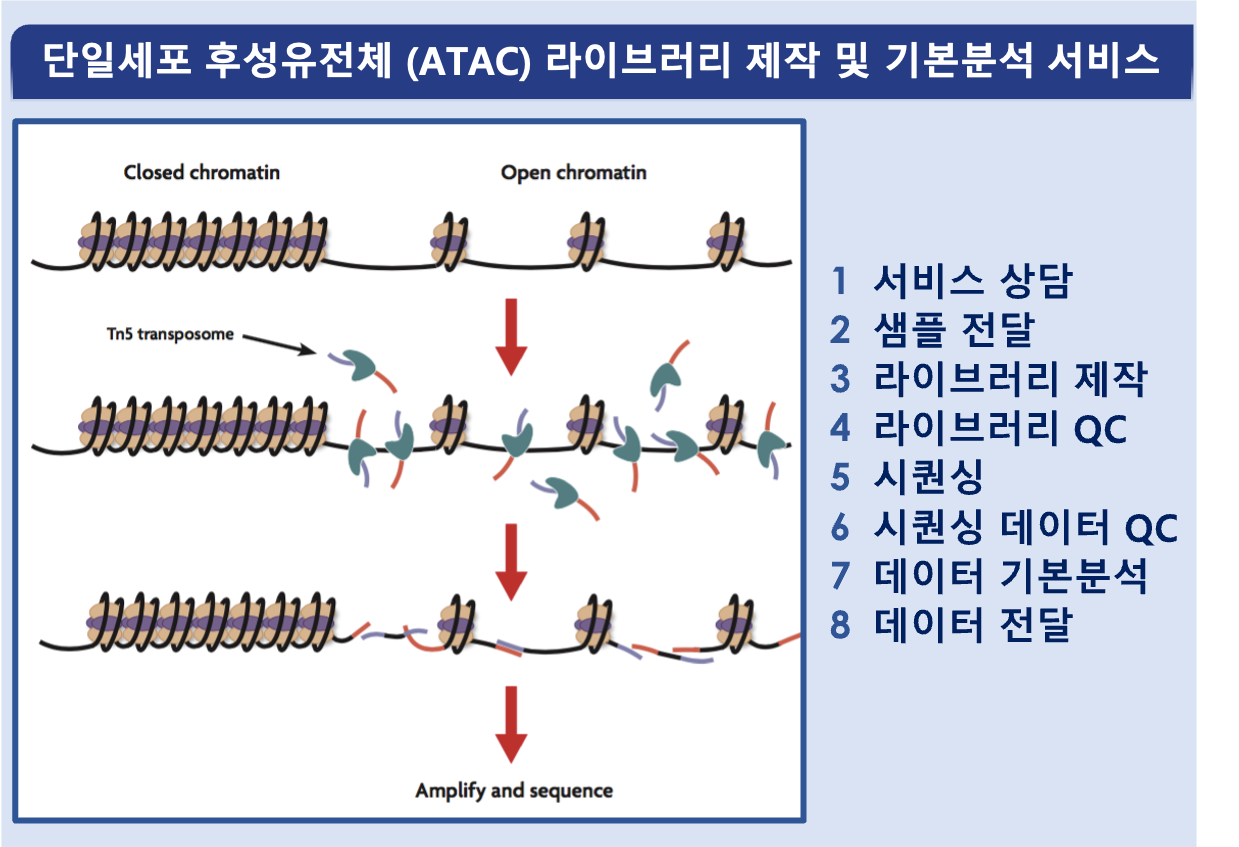 KakaoTalk_20250423_155358747
