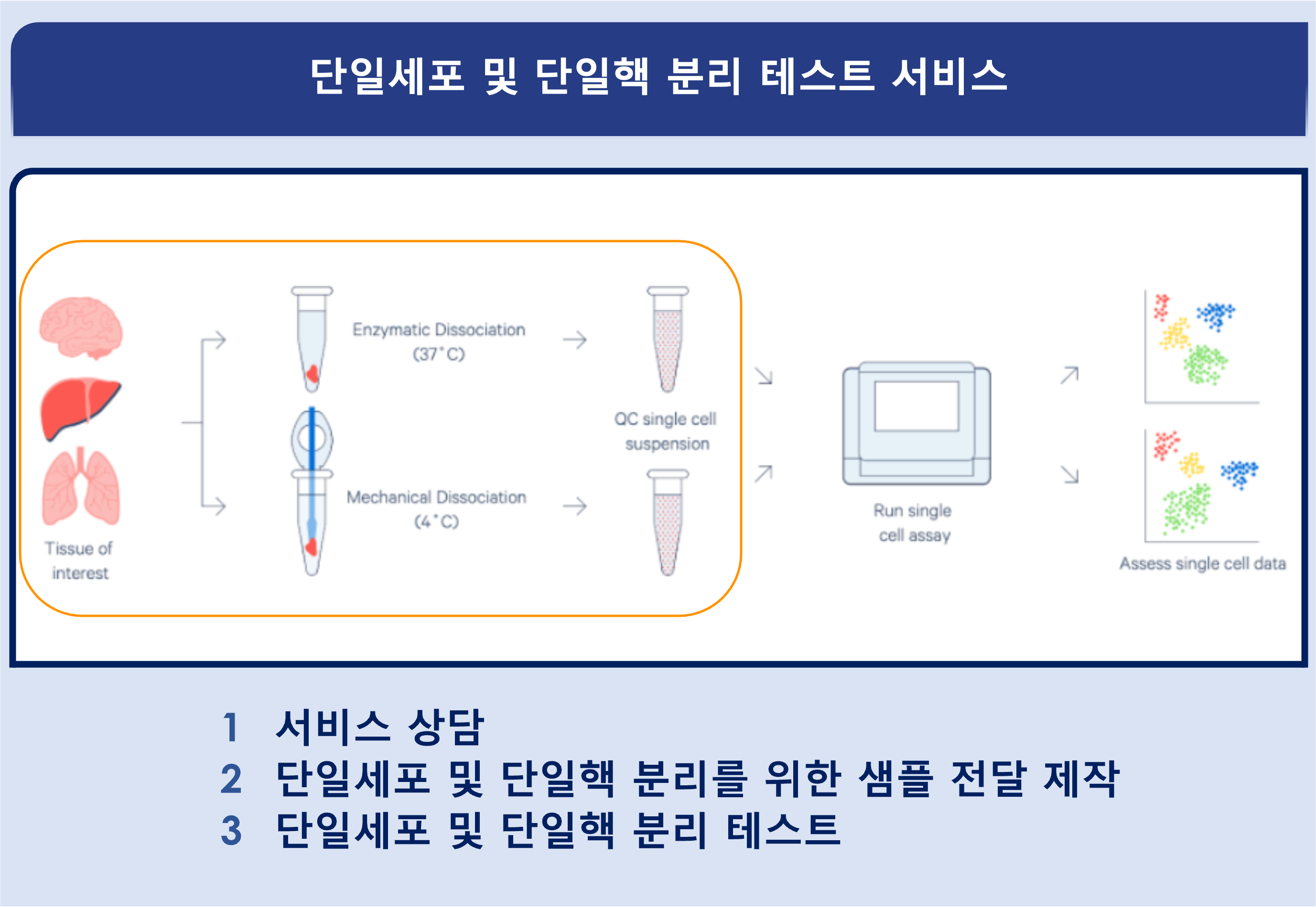 KakaoTalk_20250423_155506057
